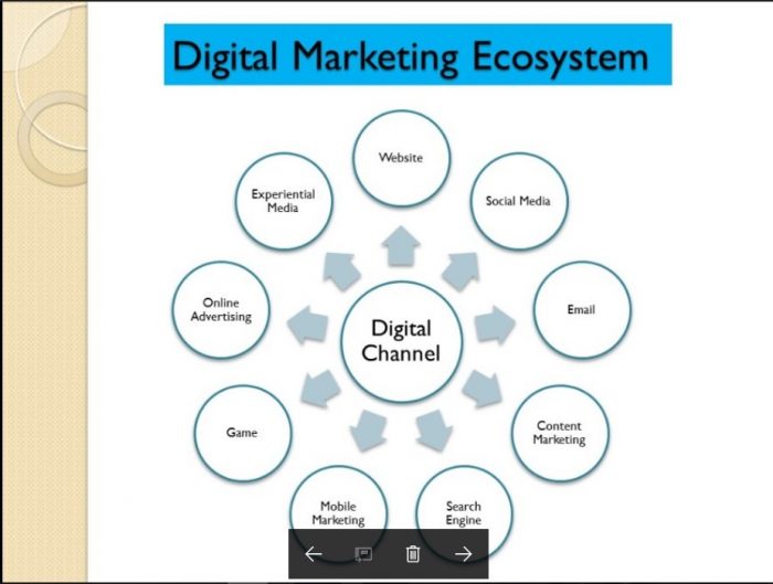 Ekosistem Digital Marketing
