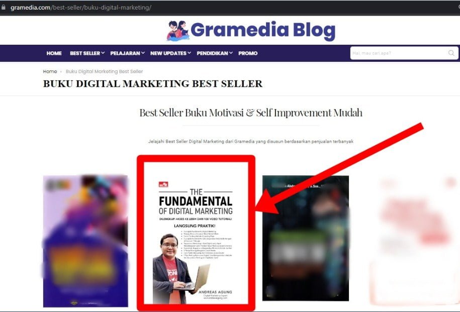 Konsultan Google Adwords Terbaik Indonesia Andreas Agung