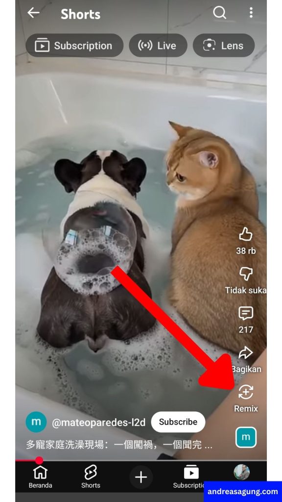 Cara Membuat Konten Musang "Muka Pasang" di Youtube