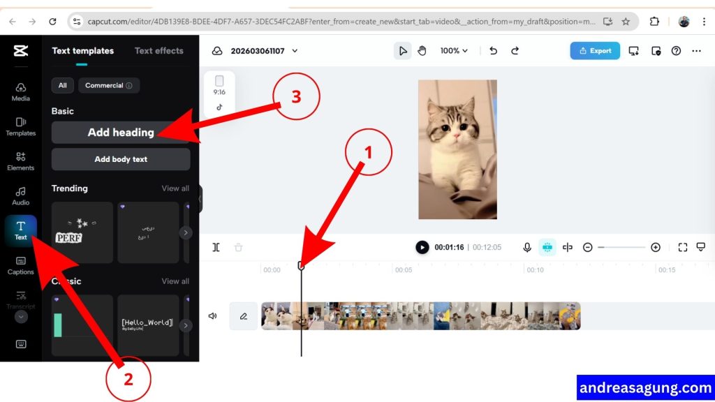 Tutorial CapCut Pemula, Cara Memberikan Tulisan pada Video