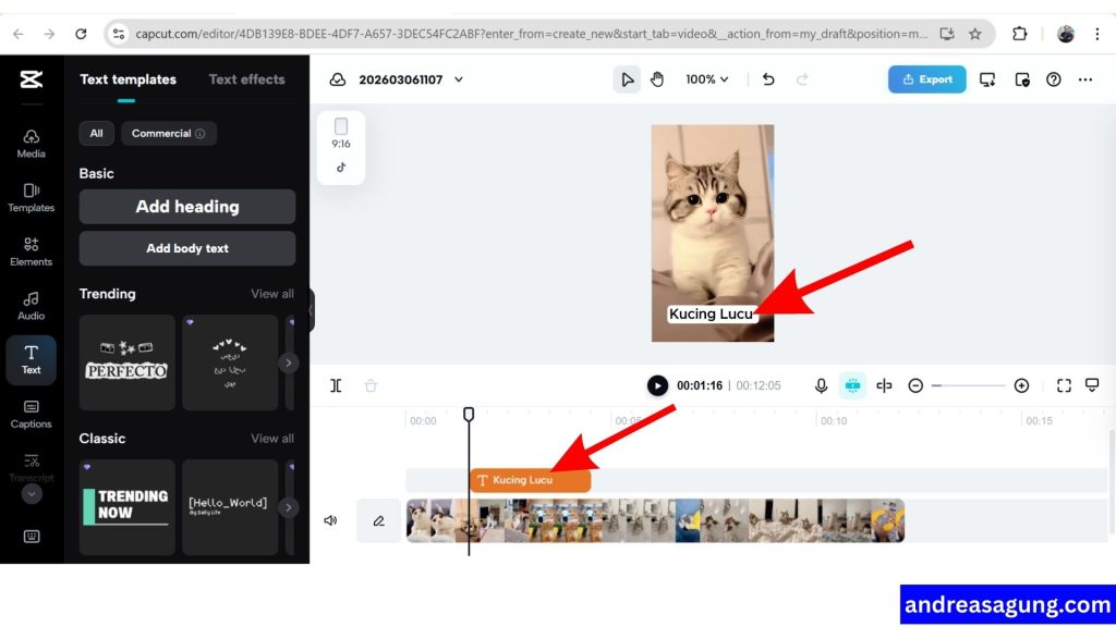 Panduan CapCut Pemula, Cara Memberikan Tulisan pada Video