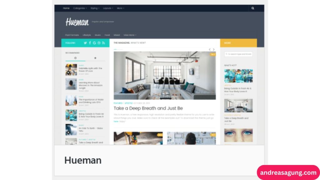 Theme WordPress Hueman