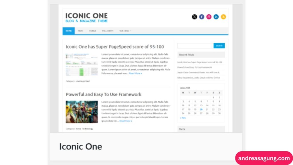 Theme WordPress Iconic One